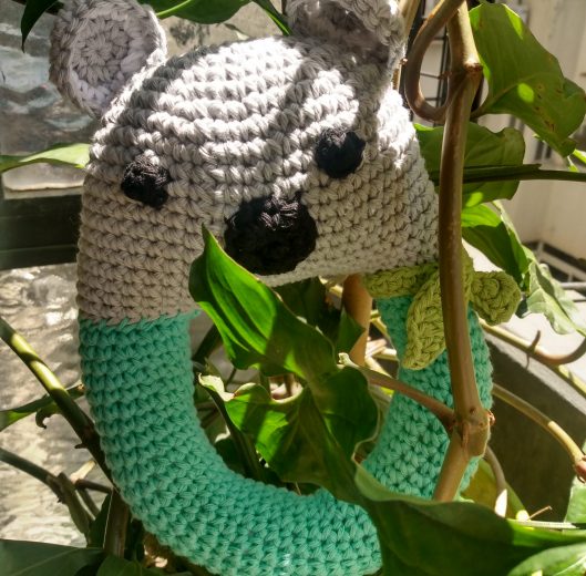 IMG_20230116_114256168_HDR